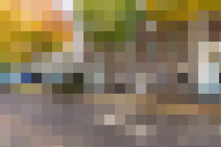 Heinseweg 7 B Sittard thumbnail 4