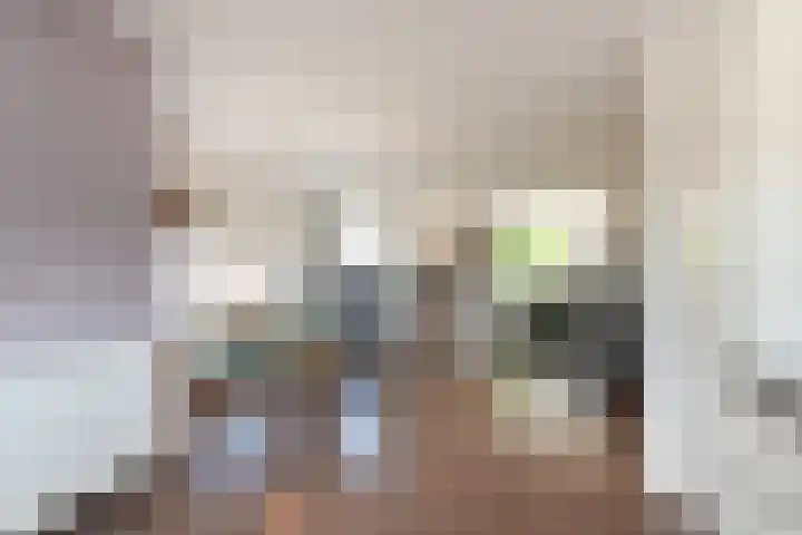 Heinsiushof 17 Bergschenhoek thumbnail 15