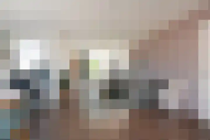 Heinsiushof 17 Bergschenhoek thumbnail 17