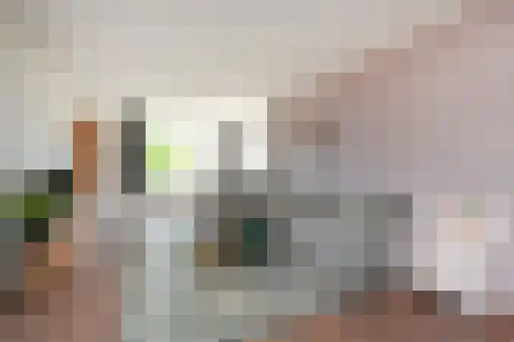 Heinsiushof 17 Bergschenhoek thumbnail 18