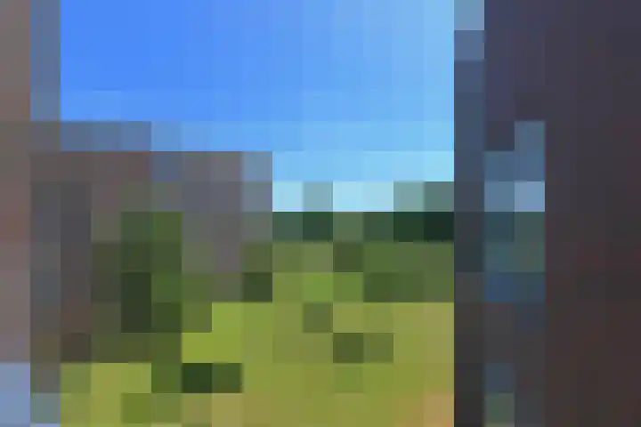 Heinsiushof 17 Bergschenhoek thumbnail 25