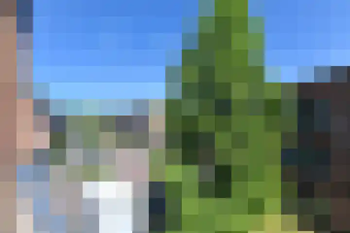 Heinsiushof 17 Bergschenhoek thumbnail 26