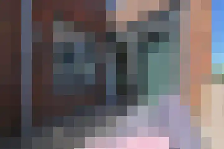 Heinsiushof 17 Bergschenhoek thumbnail 27