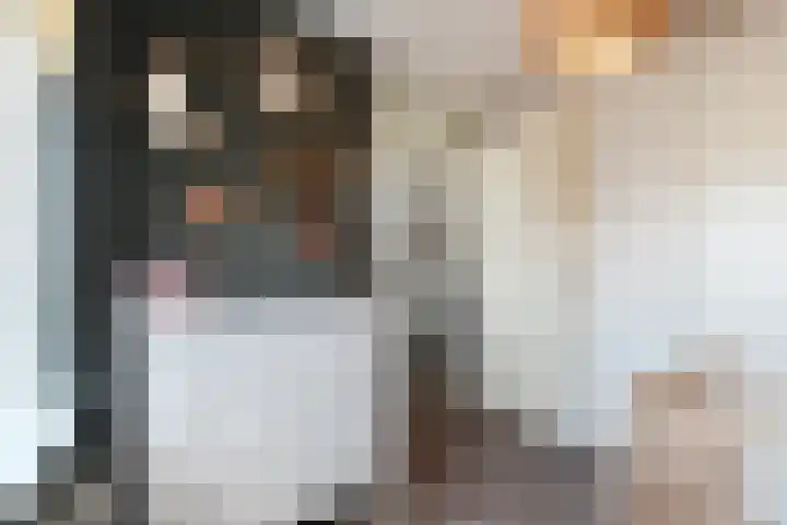 Heinsiushof 17 Bergschenhoek thumbnail 32