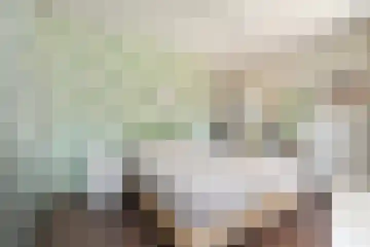 Heinsiushof 17 Bergschenhoek thumbnail 36