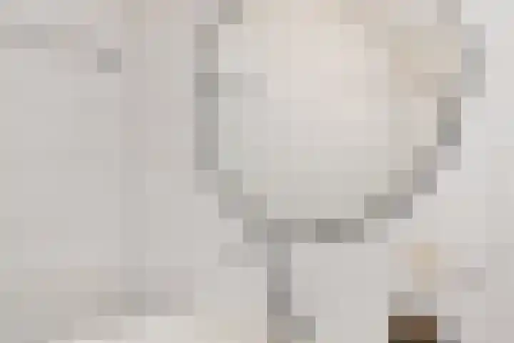 Heinsiushof 17 Bergschenhoek thumbnail 42