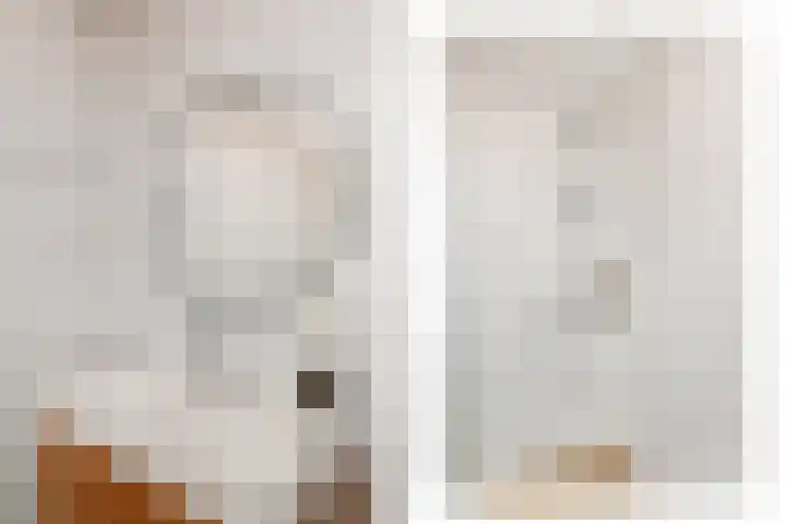 Heinsiushof 17 Bergschenhoek thumbnail 43
