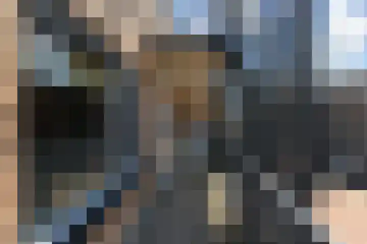 Heinsiushof 17 Bergschenhoek thumbnail 9