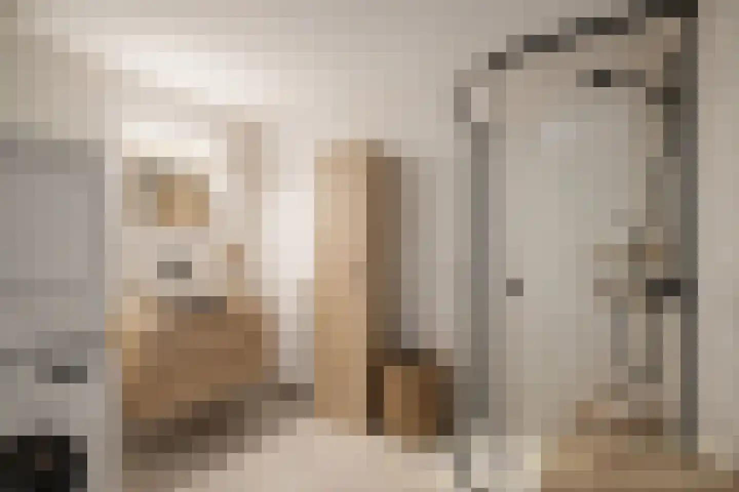 Heinsiushof 2 Bergschenhoek thumbnail 12