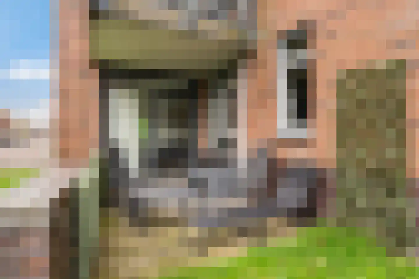 Heinsiushof 2 Bergschenhoek thumbnail 27