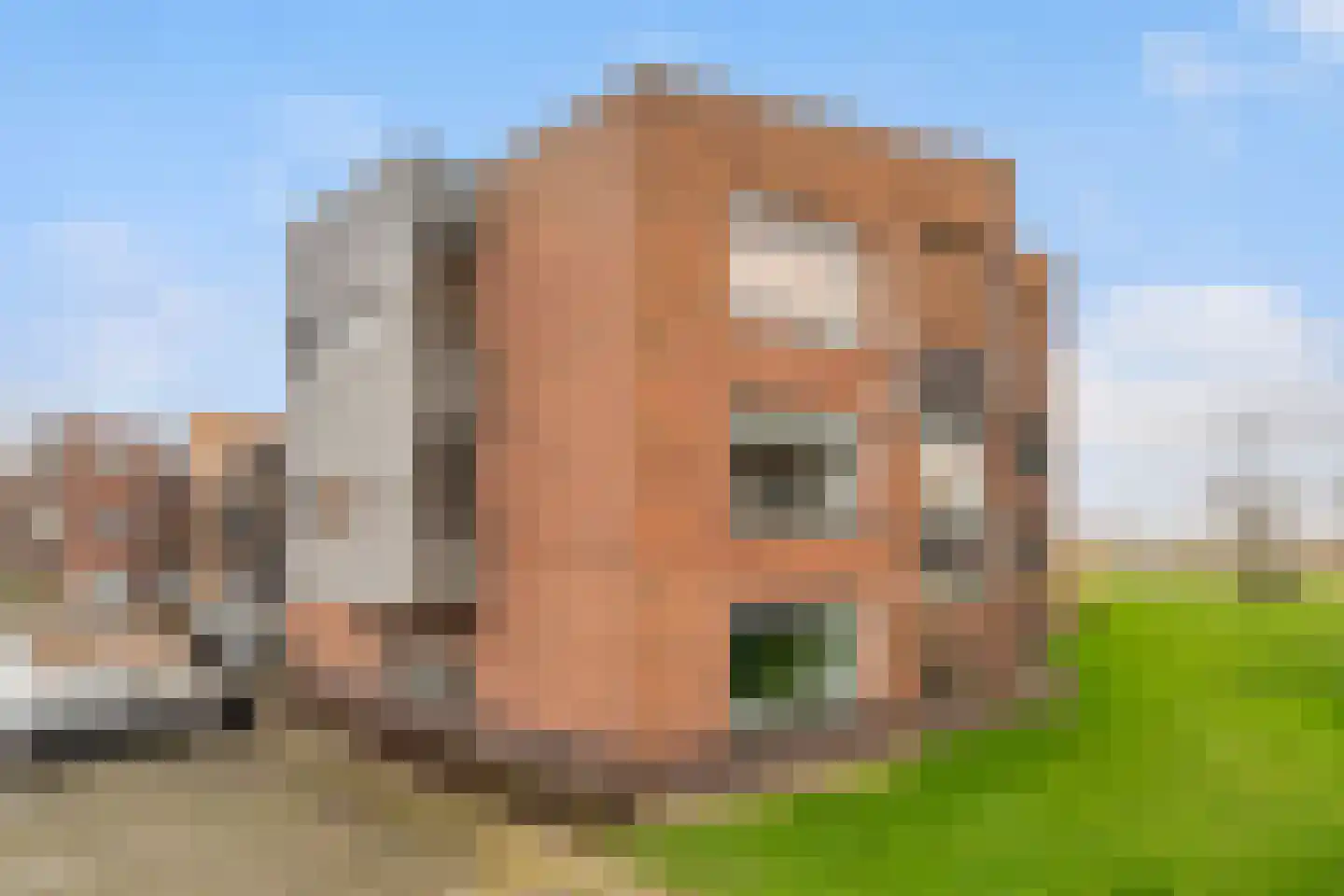 Heinsiushof 2 Bergschenhoek thumbnail 29