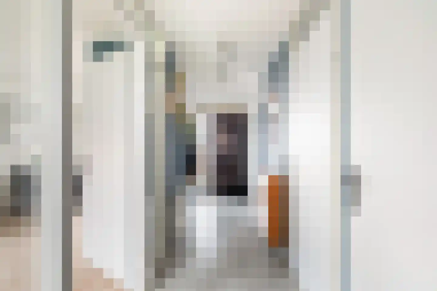 Heinsiushof 2 Bergschenhoek thumbnail 7