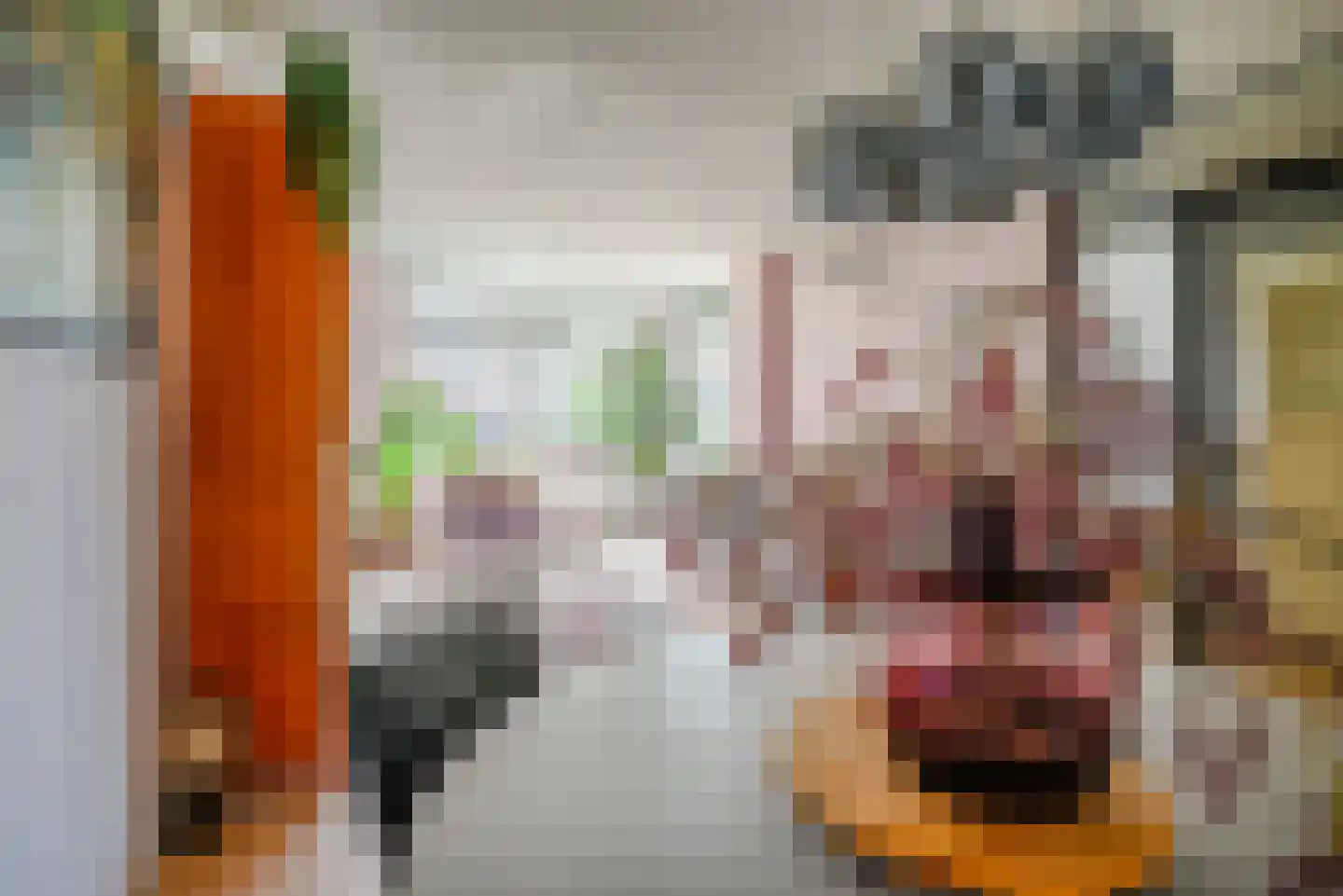Heinsiushof 3 Bergschenhoek thumbnail 12