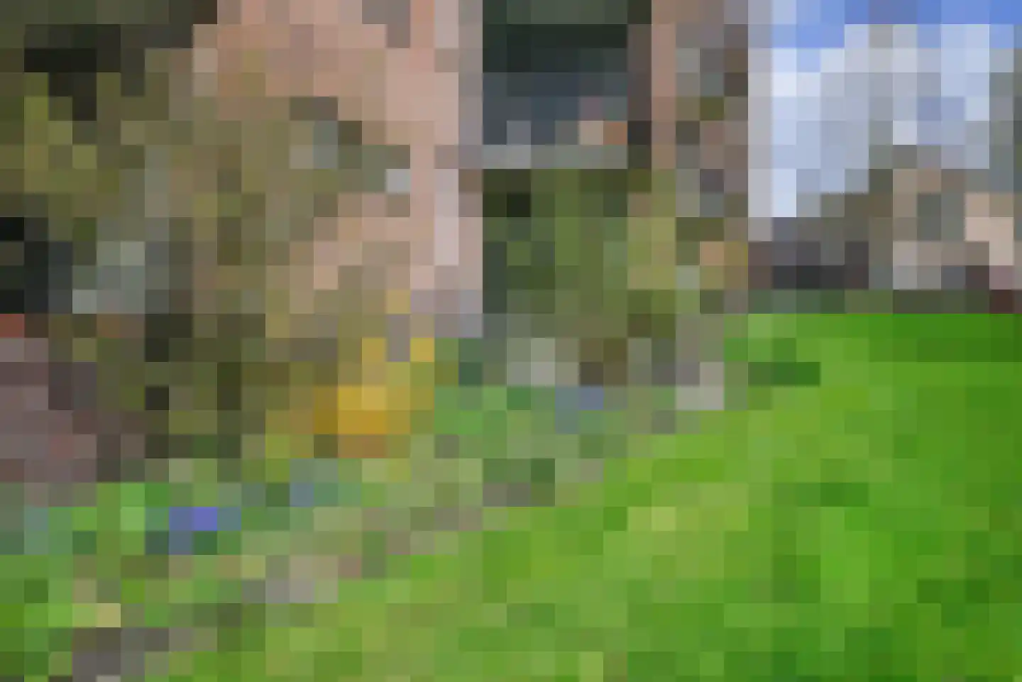 Heinsiushof 3 Bergschenhoek thumbnail 25