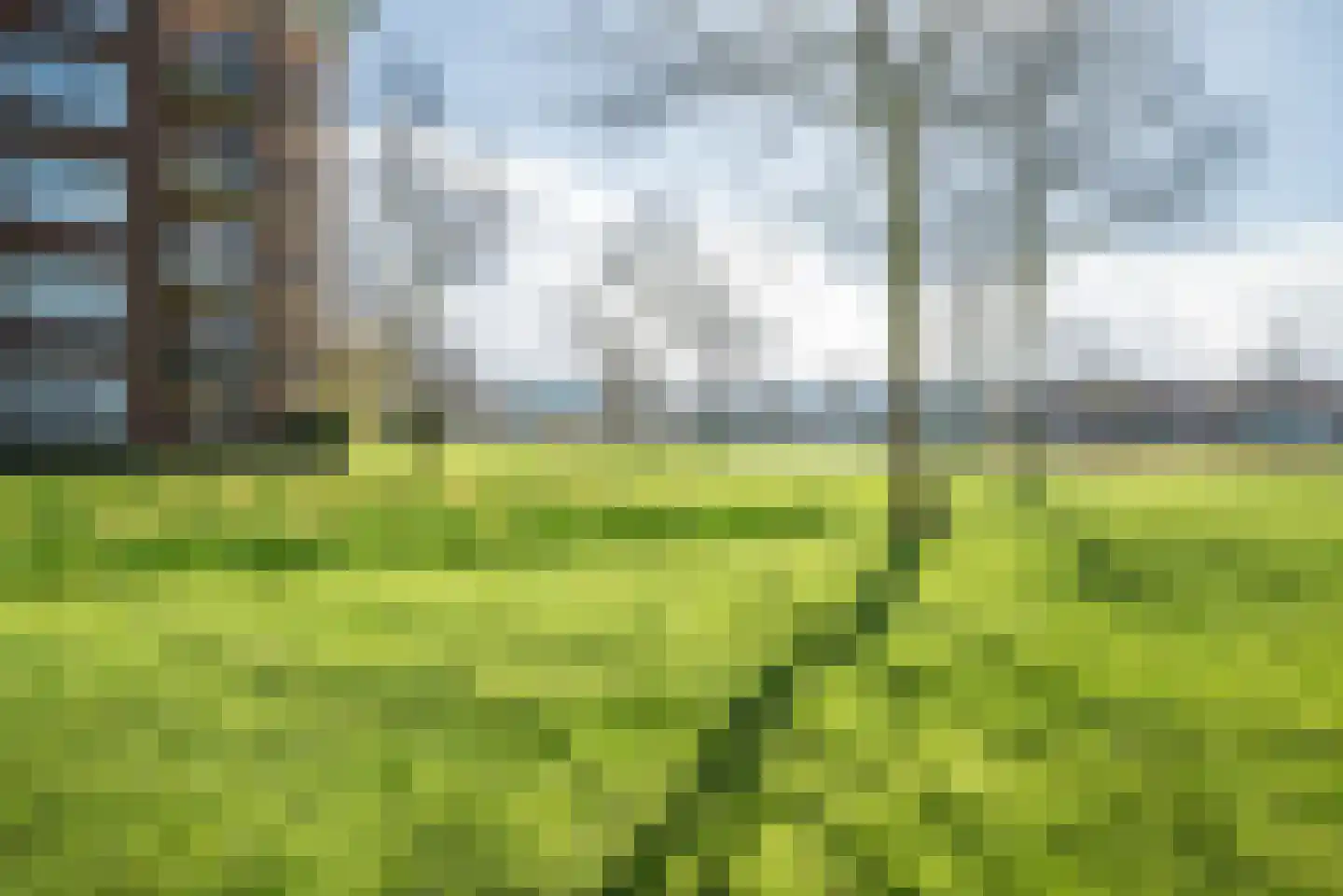 Heinsiushof 3 Bergschenhoek thumbnail 26