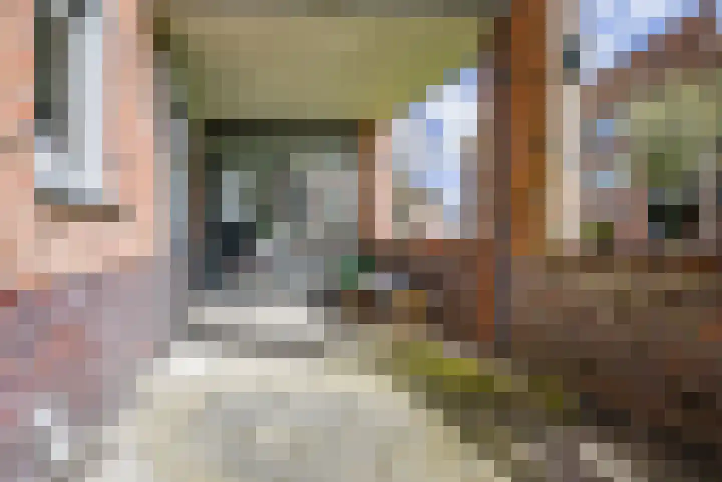 Heinsiushof 3 Bergschenhoek thumbnail 30