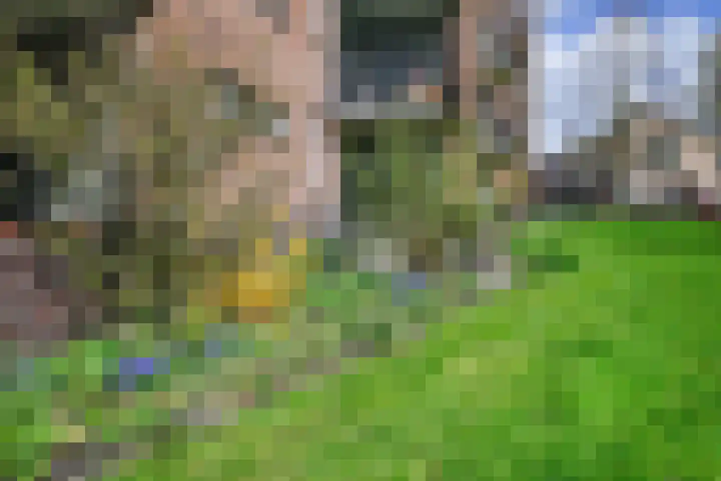 Heinsiushof 3 Bergschenhoek thumbnail 32