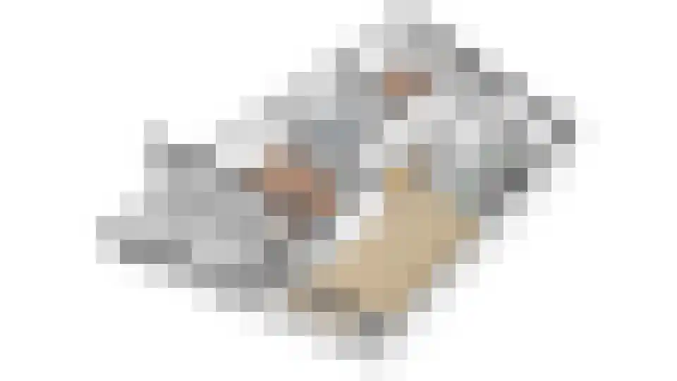 Heinsiushof 3 Bergschenhoek thumbnail 33