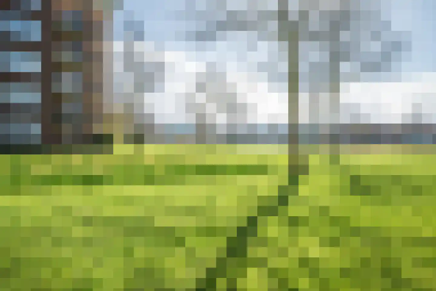 Heinsiushof 3 Bergschenhoek thumbnail 33