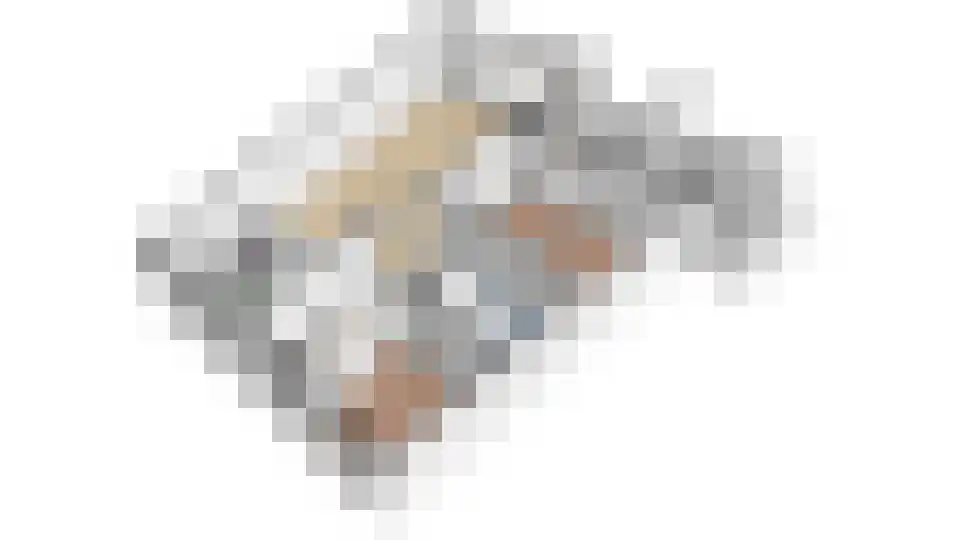 Heinsiushof 3 Bergschenhoek thumbnail 34