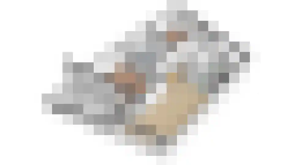 Heinsiushof 3 Bergschenhoek thumbnail 40