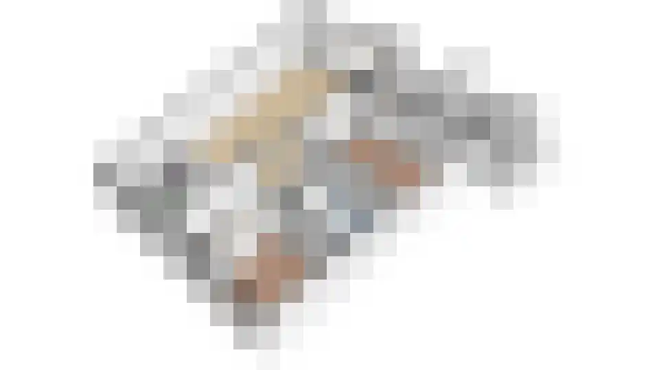 Heinsiushof 3 Bergschenhoek thumbnail 41