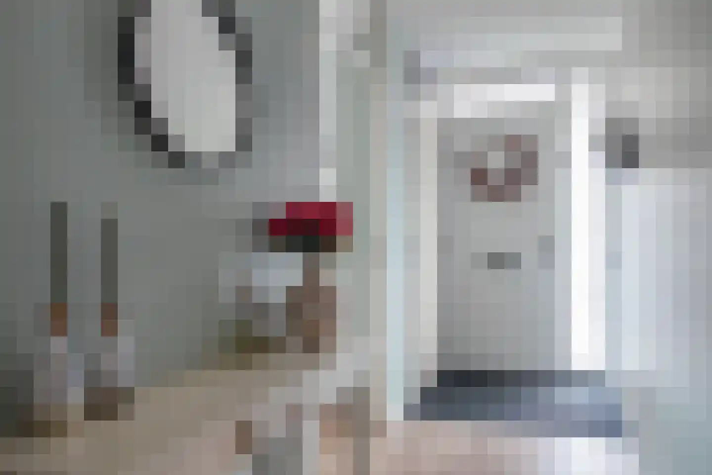 Heinsiushof 3 Bergschenhoek thumbnail 6