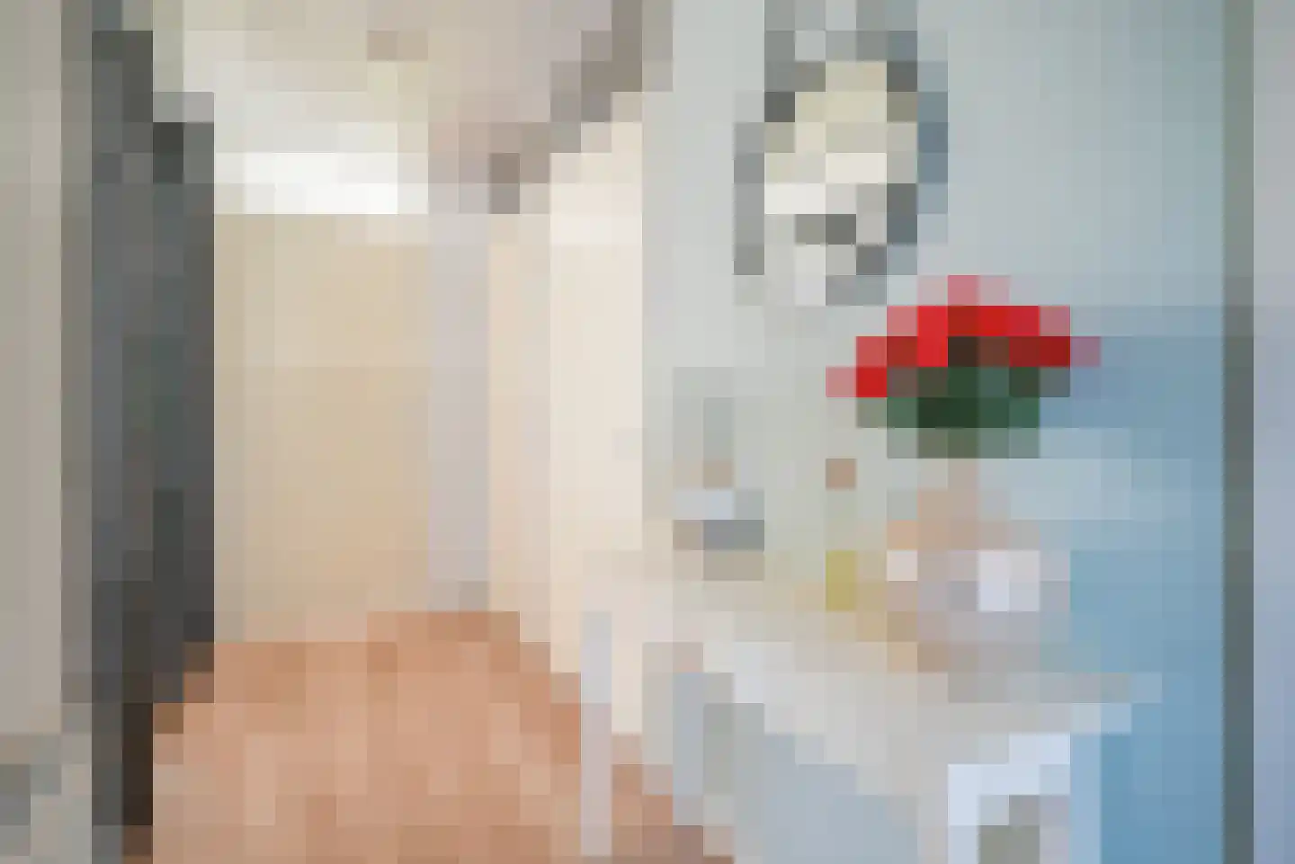 Heinsiushof 3 Bergschenhoek thumbnail 8