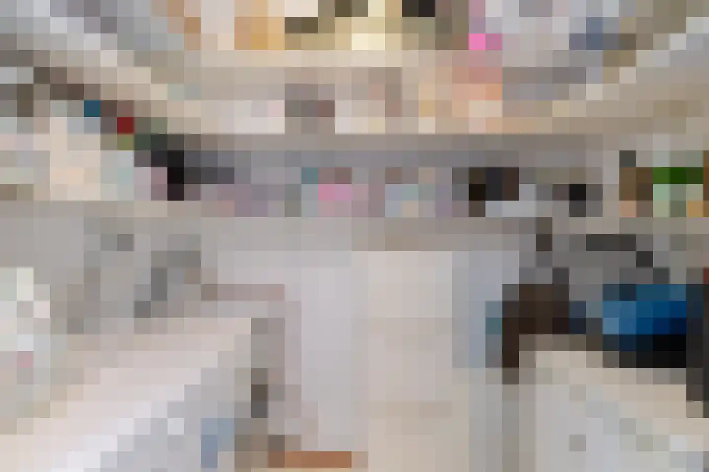 Heinsiushof 34 Bergschenhoek thumbnail 49