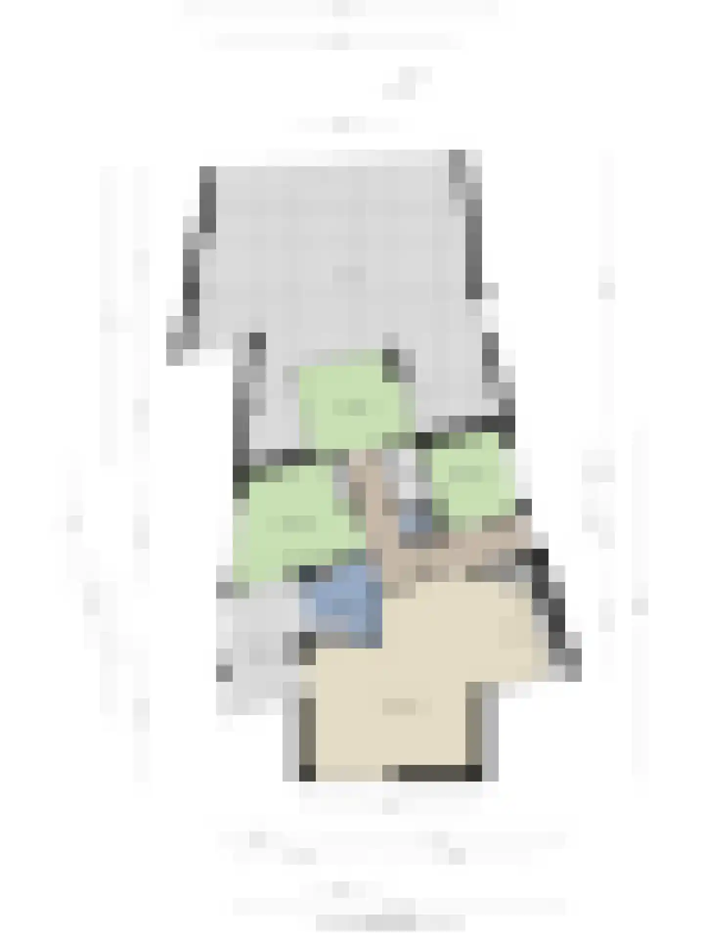 Heinsiushof 34 Bergschenhoek thumbnail 61