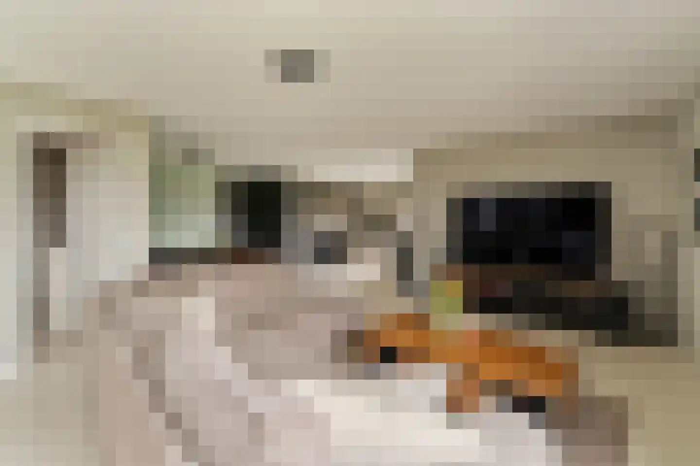 Heinsiushof 6 Bergschenhoek thumbnail 14