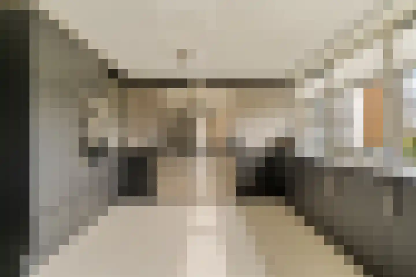 Heinsiushof 6 Bergschenhoek thumbnail 15