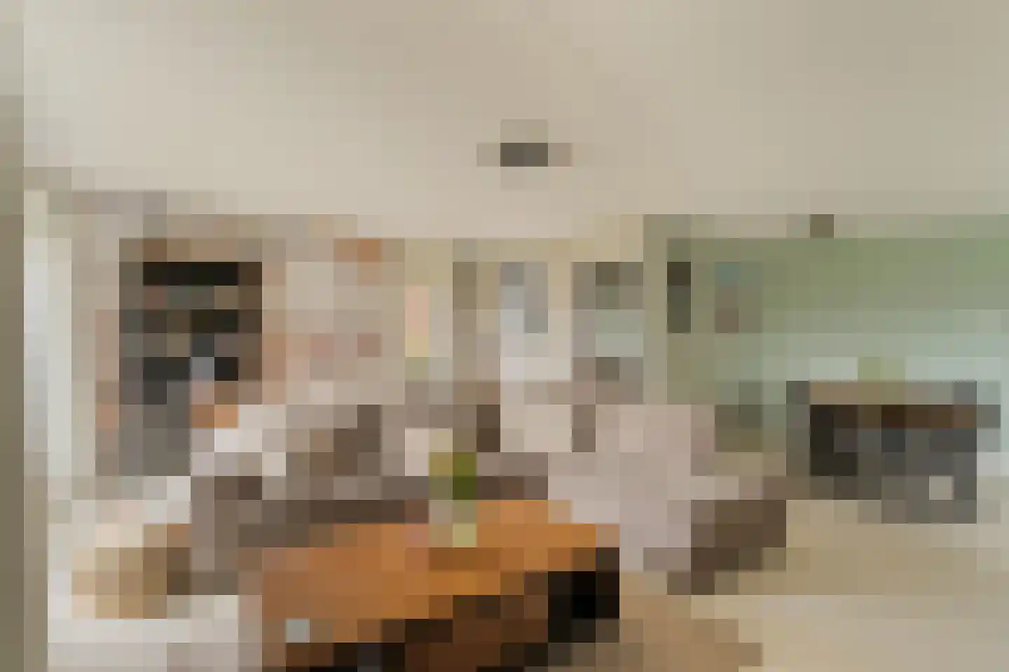 Heinsiushof 6 Bergschenhoek thumbnail 15