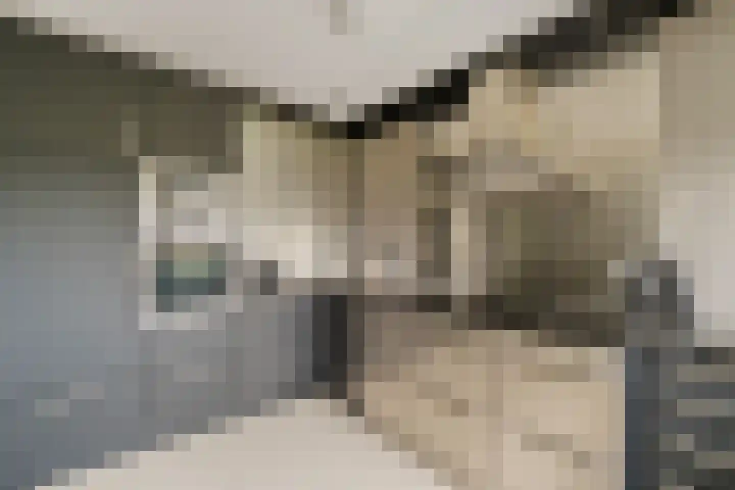 Heinsiushof 6 Bergschenhoek thumbnail 16