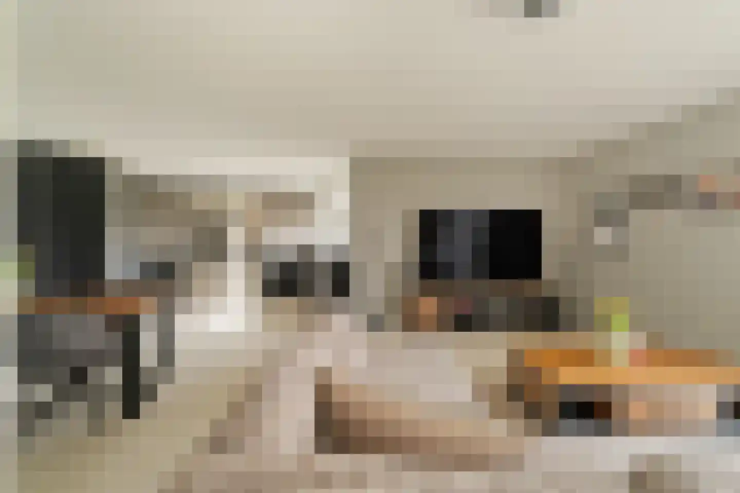 Heinsiushof 6 Bergschenhoek thumbnail 16