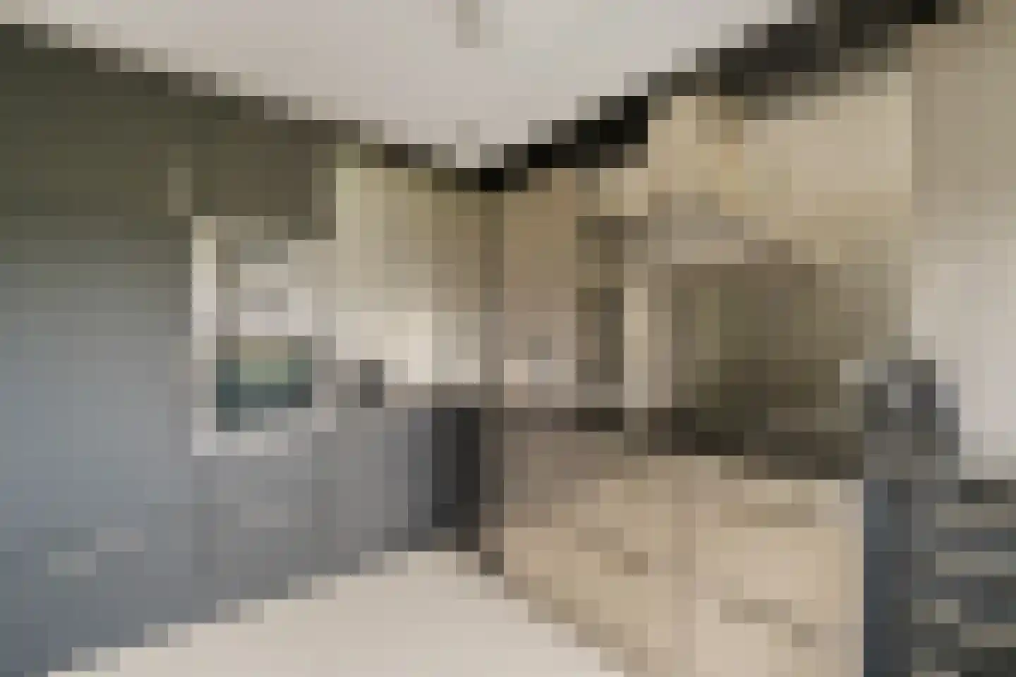 Heinsiushof 6 Bergschenhoek thumbnail 19