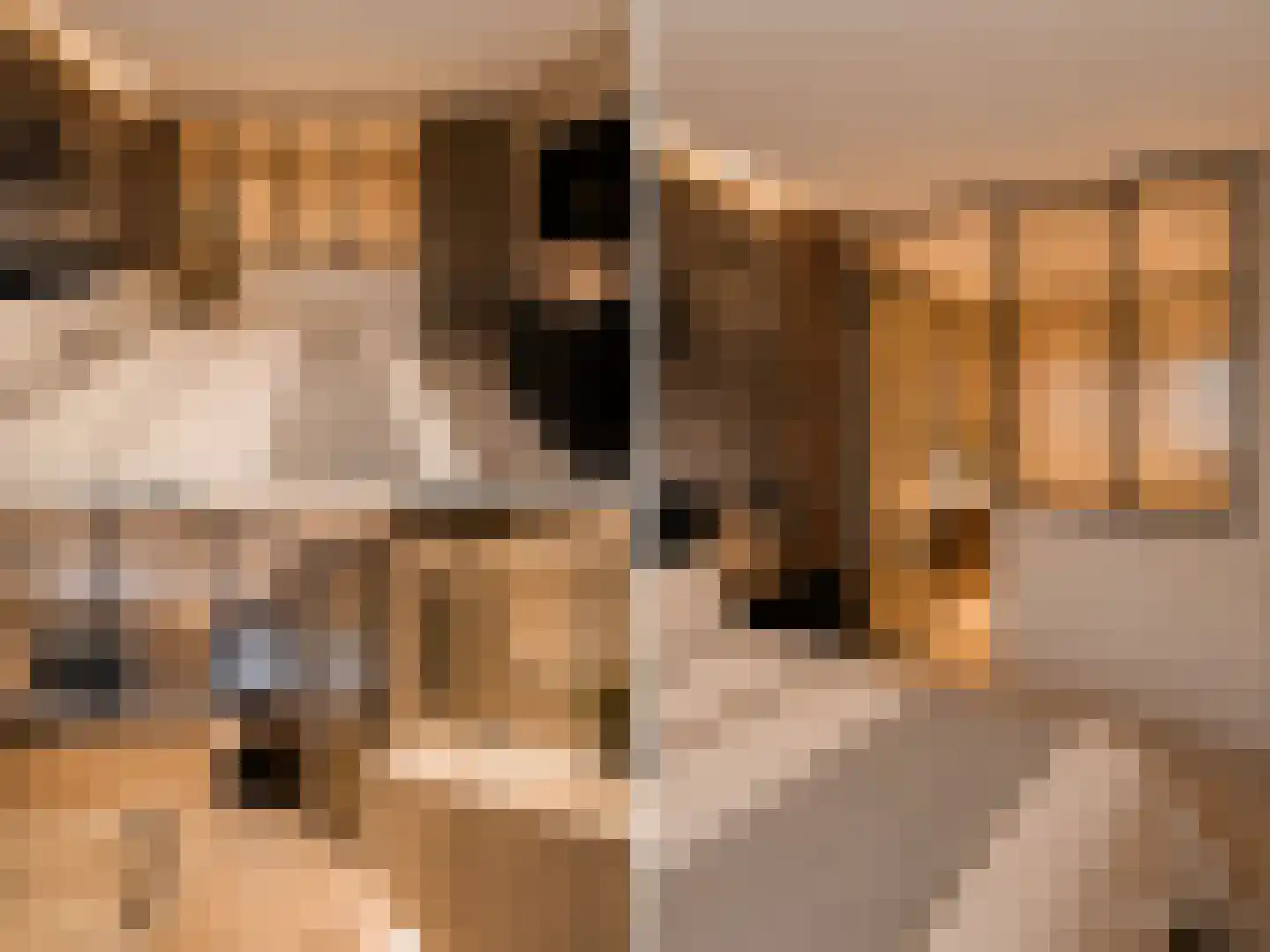 Heinsiushof 6 Bergschenhoek thumbnail 25