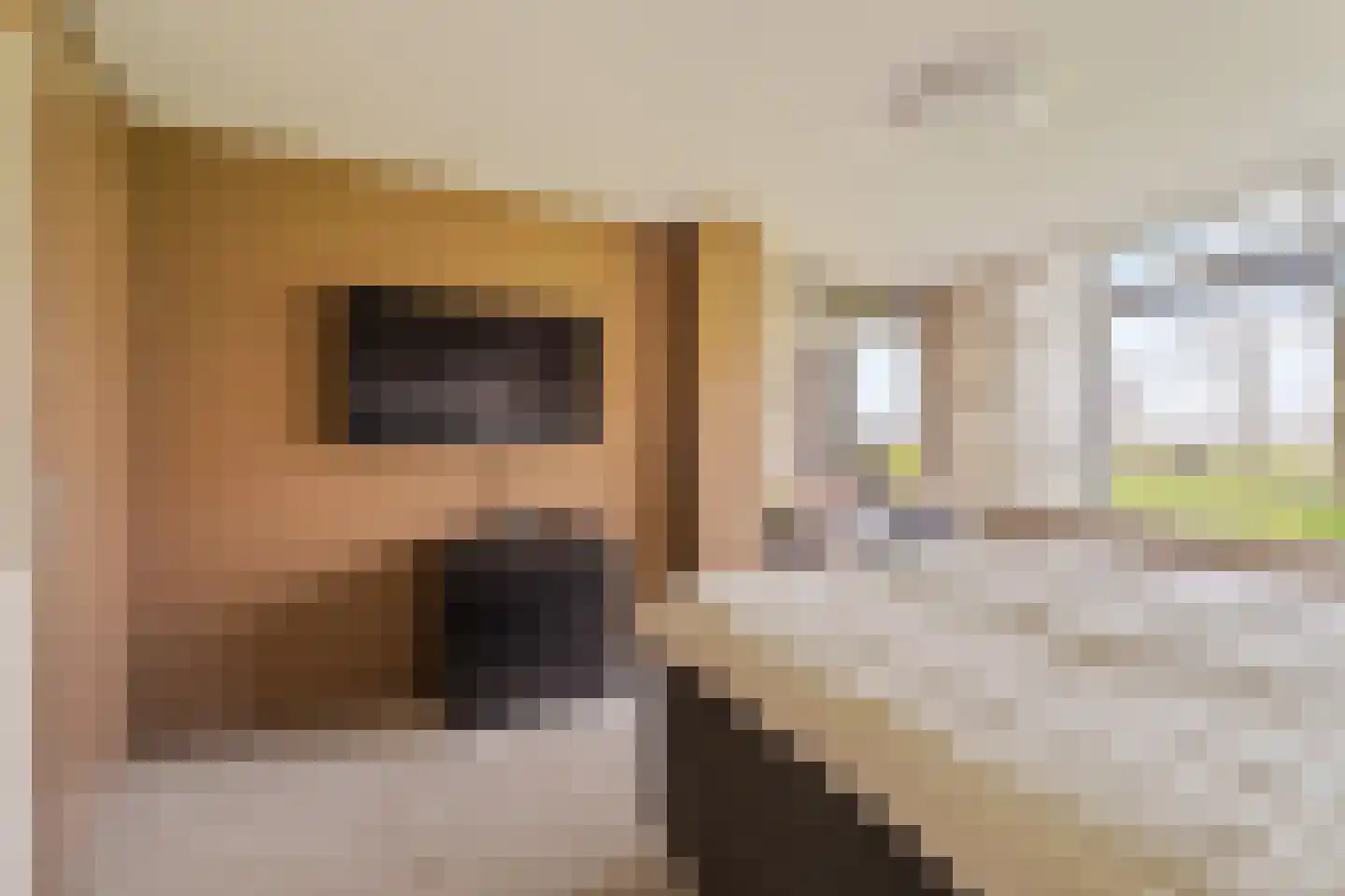 Heinsiushof 6 Bergschenhoek thumbnail 26