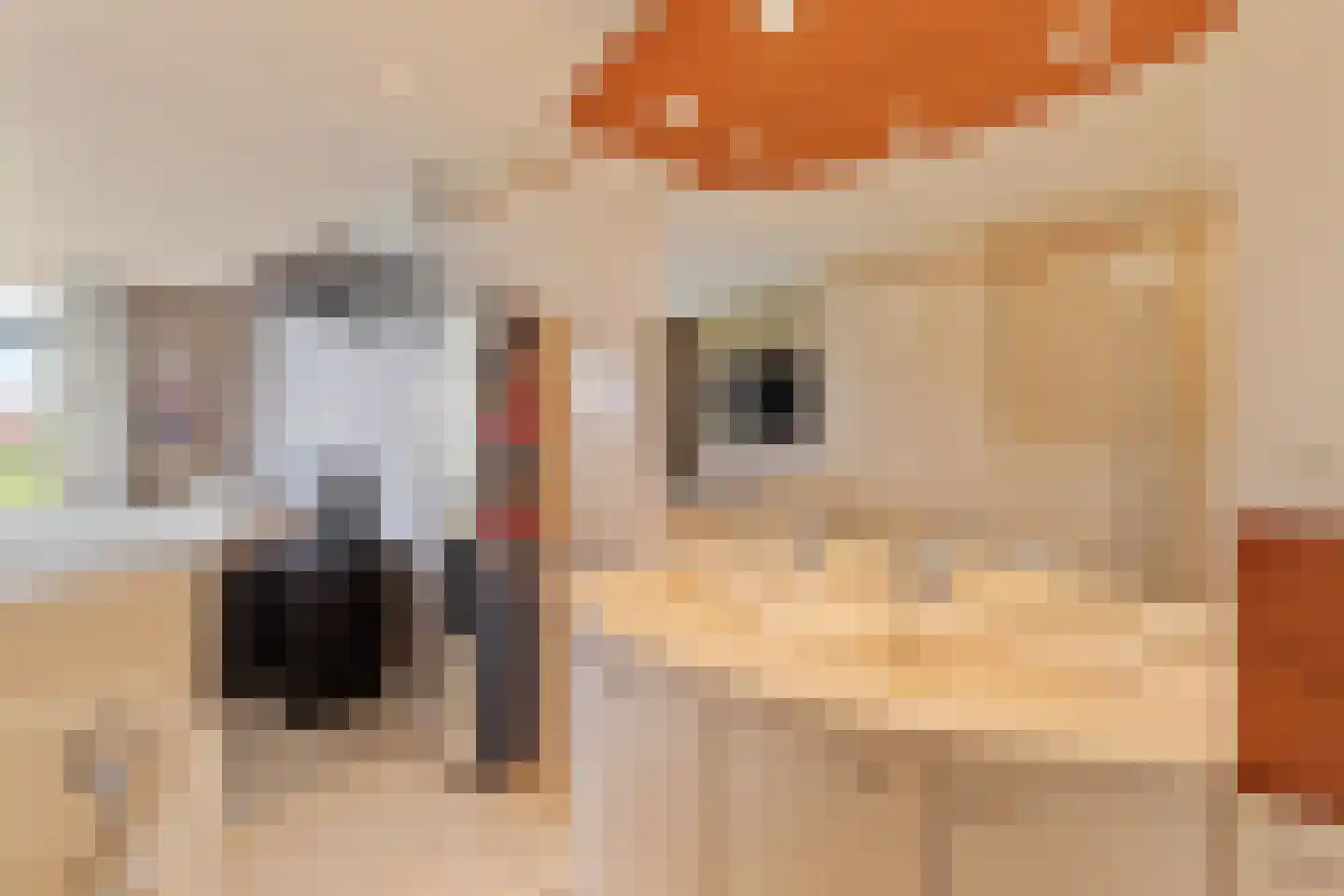 Heinsiushof 6 Bergschenhoek thumbnail 30