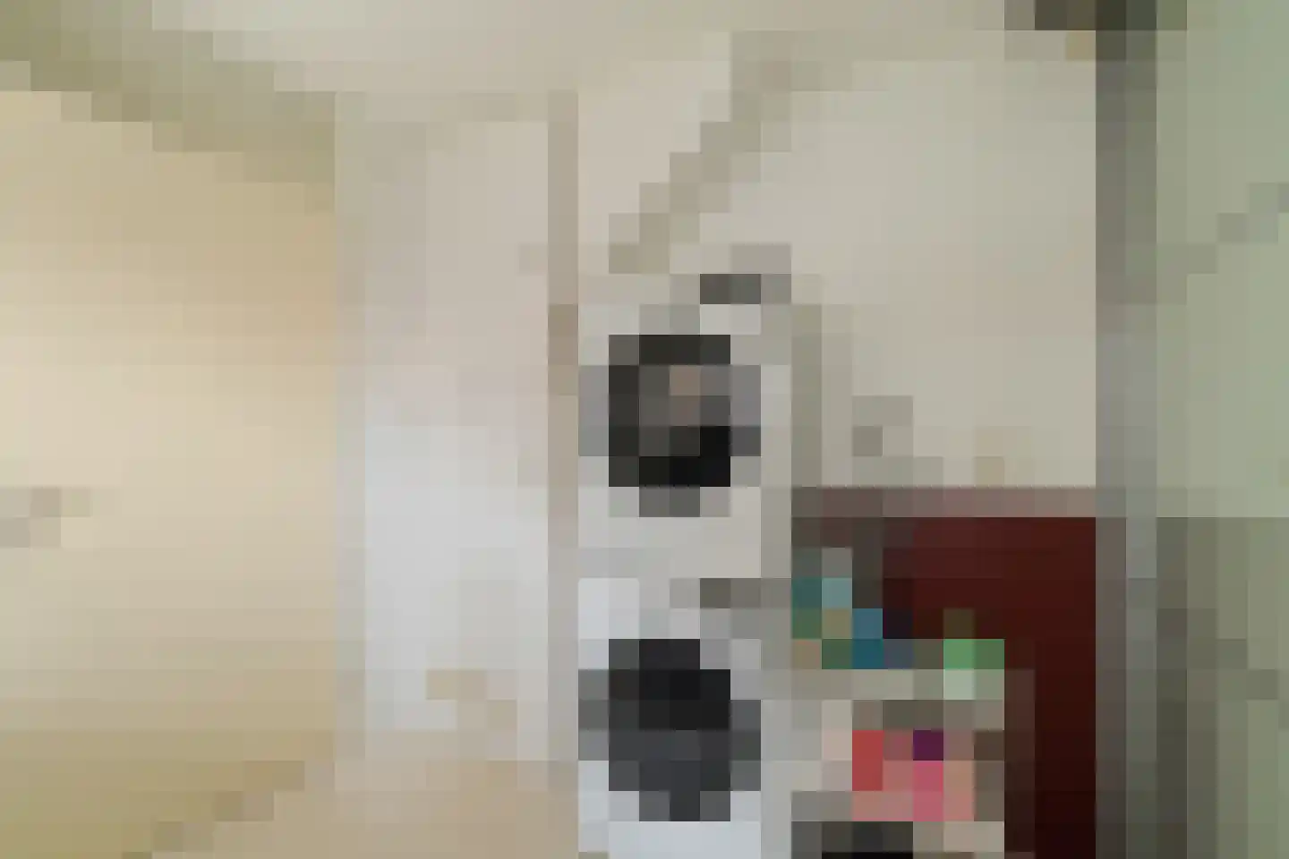 Heinsiushof 6 Bergschenhoek thumbnail 32