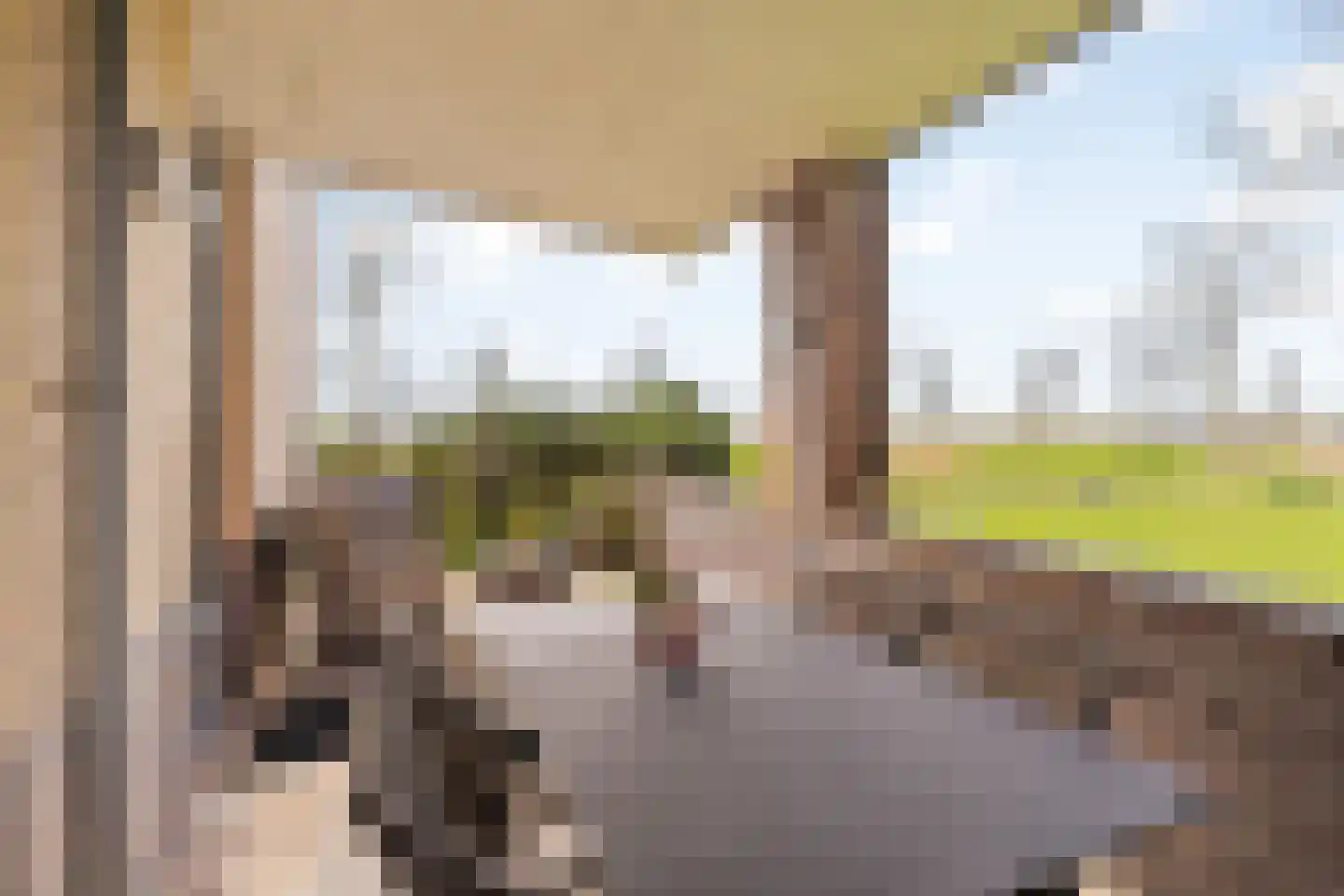 Heinsiushof 6 Bergschenhoek thumbnail 33