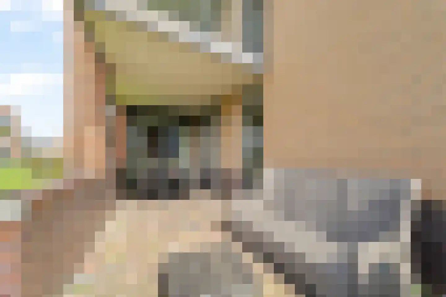 Heinsiushof 6 Bergschenhoek thumbnail 34