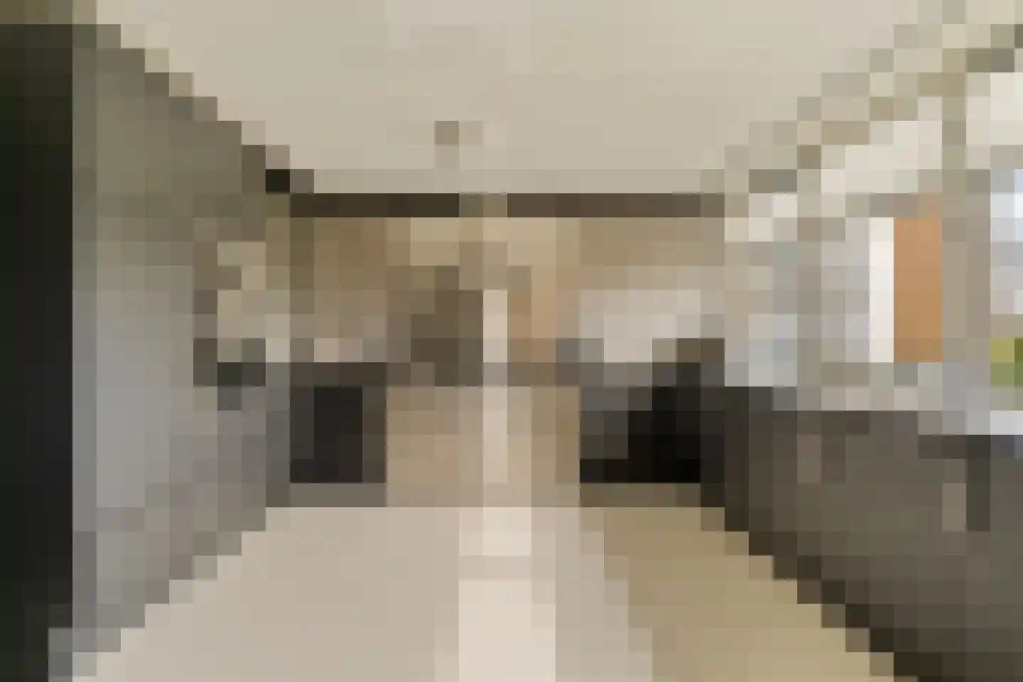Heinsiushof 6 Bergschenhoek thumbnail 4