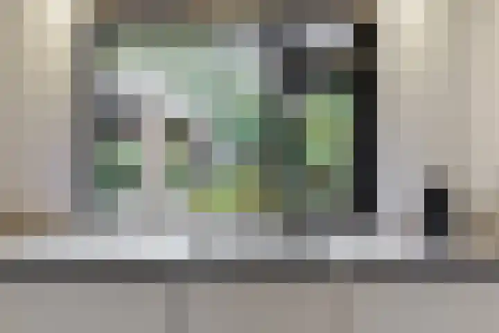 Heinsiuslaan 10 Leiderdorp thumbnail 13