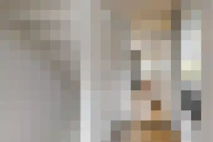 Heinsiuslaan 10 Leiderdorp thumbnail 14