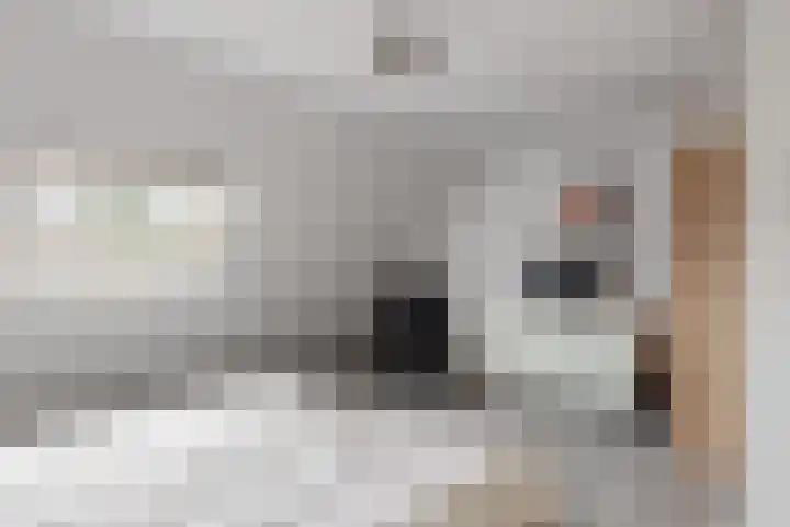 Heinsiuslaan 10 Leiderdorp thumbnail 18