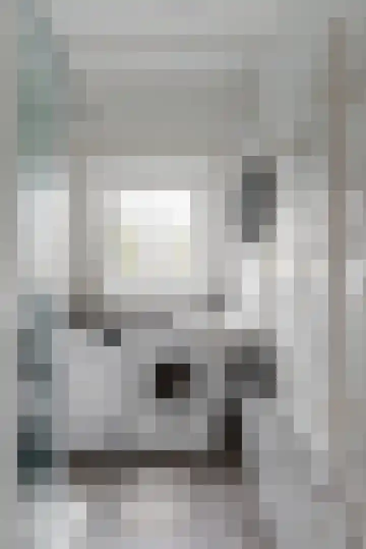 Heinsiuslaan 10 Leiderdorp thumbnail 26