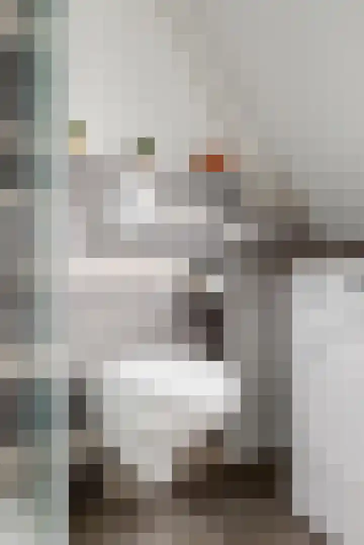 Heinsiuslaan 10 Leiderdorp thumbnail 27