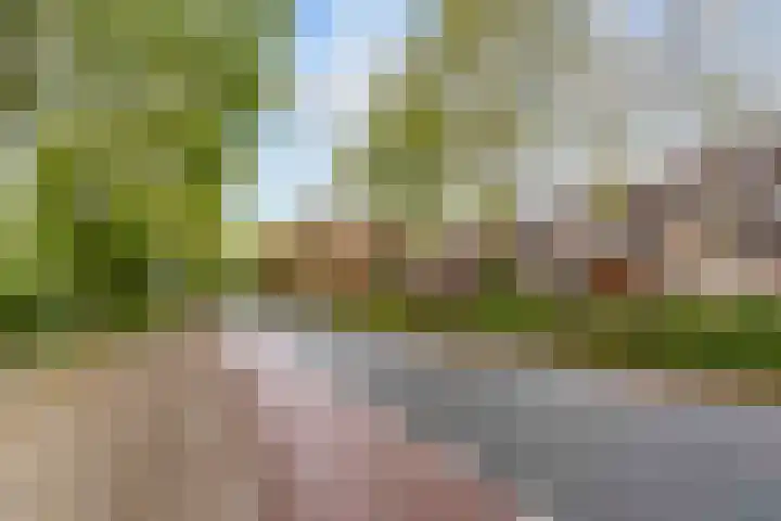 Heinsiuslaan 10 Leiderdorp thumbnail 38