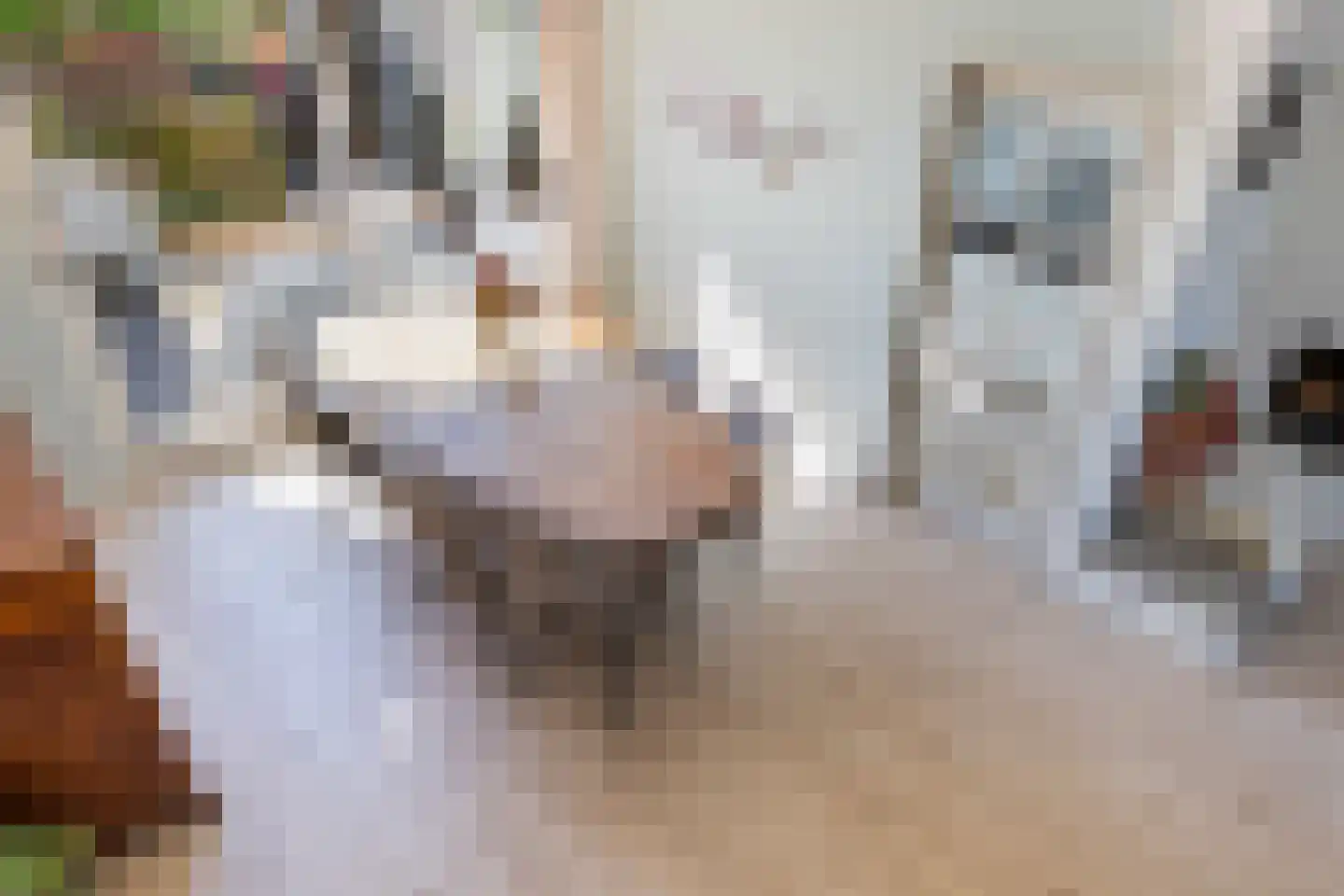 Heinsiuslaan 8 Woerden thumbnail 15